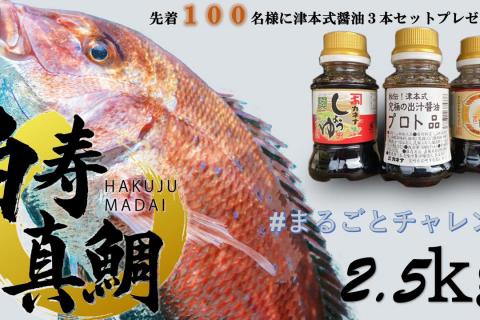 直販ギフトサイトをOPENします（してます） | 白寿真鯛と横綱